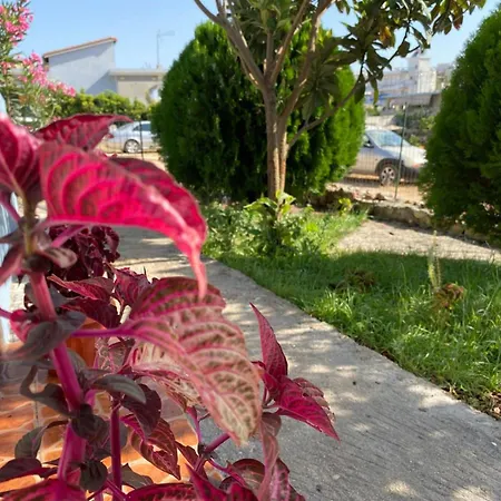 بيت ضيافة Fishery